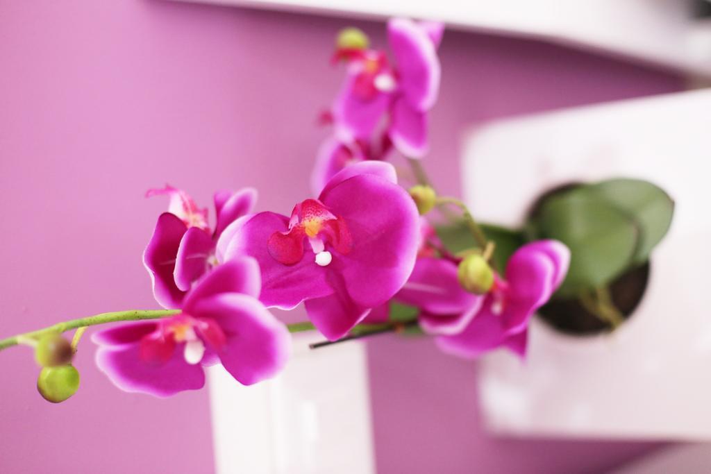 Iris Room Róma Szoba fotó